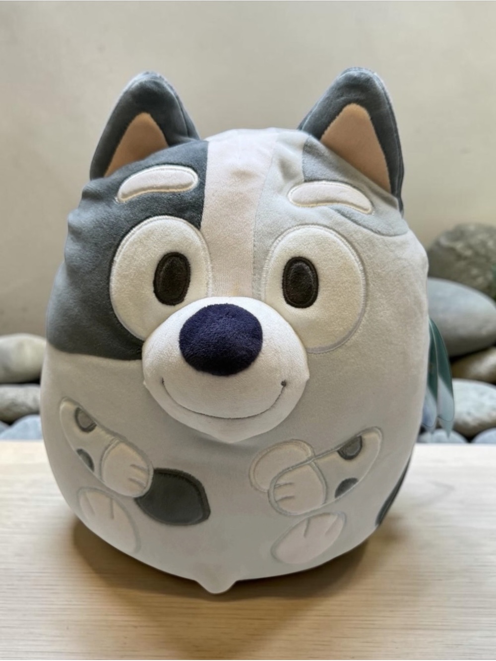 Squishmallows | Bluey Muffin Plush 12" NWT